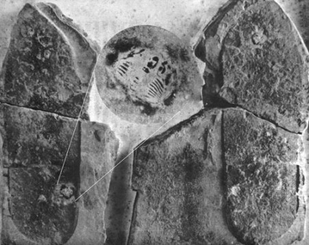  Dva zkamenelé odtlačky podrážok topánok  veľkosti 11,5, ktorých majiteľ zašliapol trilobita. 